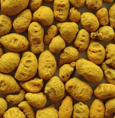 Coriander Powder